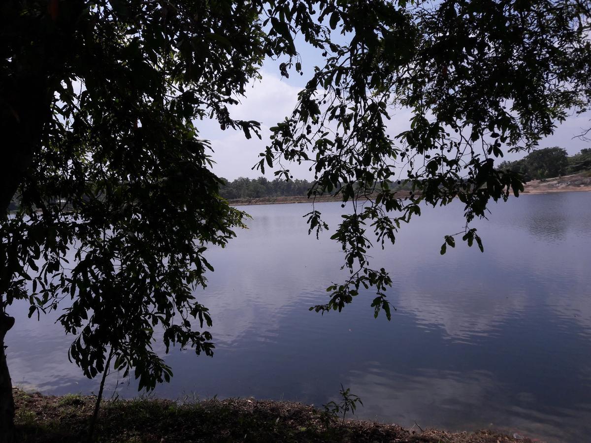 Saragama Holiday Resort Kurunegala Buitenkant foto